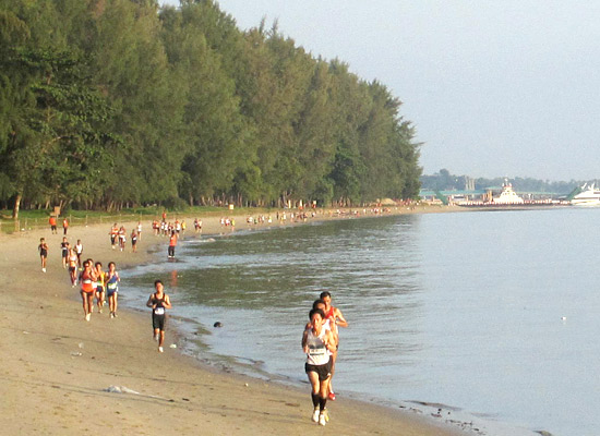 The much dreaded or much welcomed beach