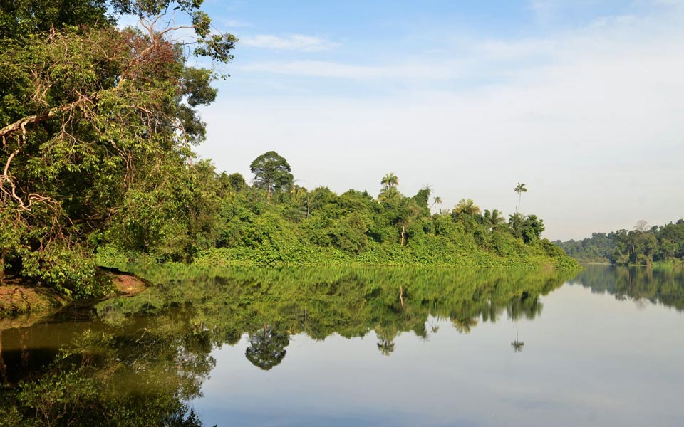 Save Our MacRitchie: 4 Reasons Why It's Every Runners' Sweetheart