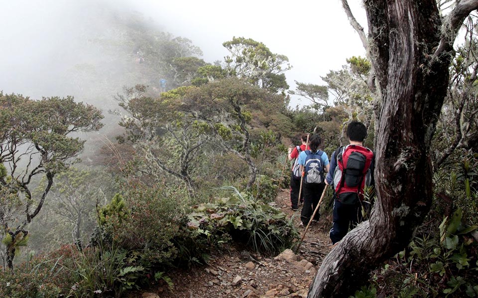 7 Malaysia Running Trails Worth Trying Out