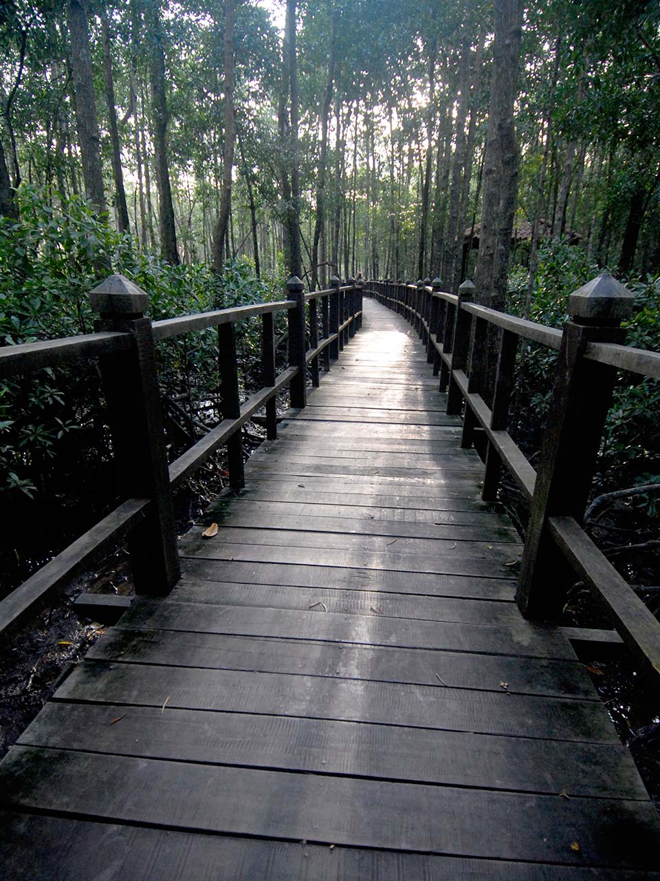 Running Wild at 10 National Parks in Malaysia