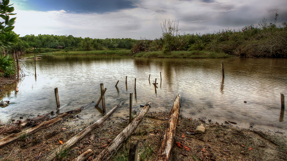 Running Wild at 10 National Parks in Malaysia