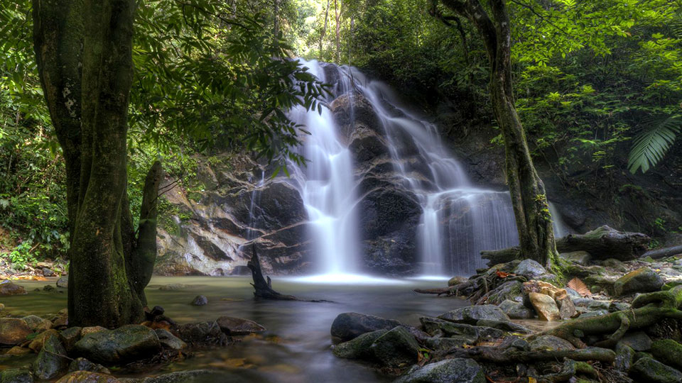 Running Wild at 10 National Parks in Malaysia