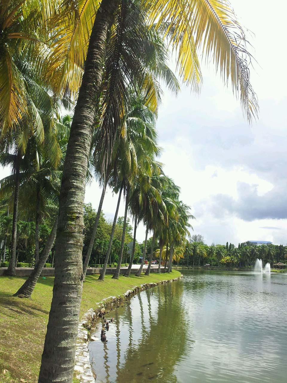 Running Wild at 10 National Parks in Malaysia