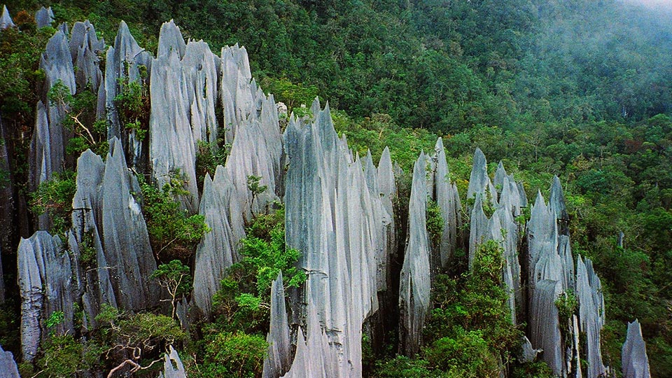 Running Wild at 10 National Parks in Malaysia