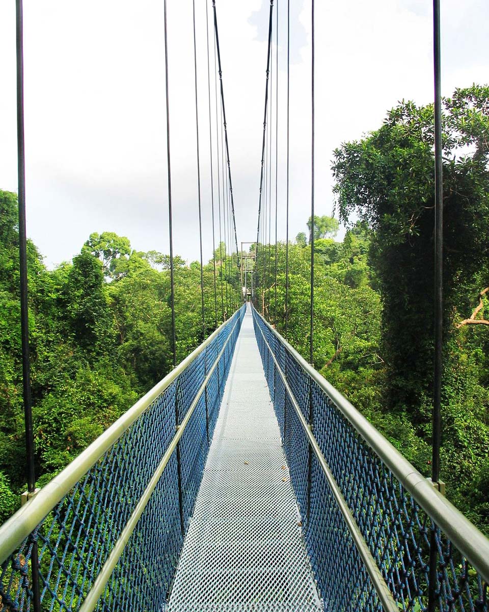 Singapore Hill Running and Trekking: 10 Best Hills To Explore for Nature Runners