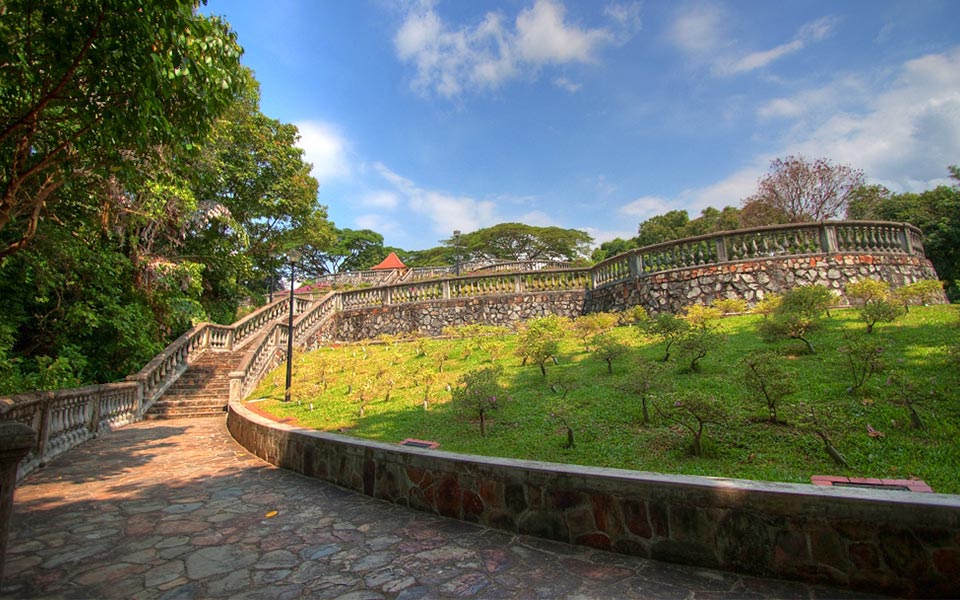 Singapore Hill Running and Trekking: 10 Best Hills To Explore for Nature Runners