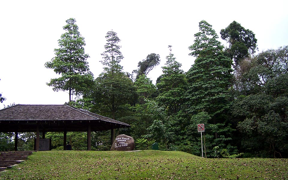 Singapore Hill Running and Trekking: 10 Best Hills To Explore for Nature Runners