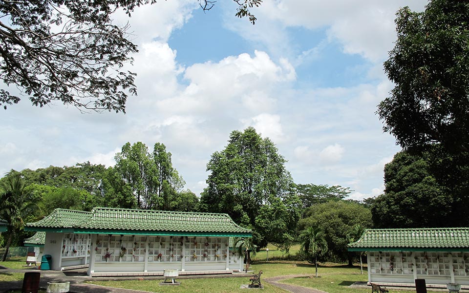 Singapore Hill Running and Trekking: 10 Best Hills To Explore for Nature Runners