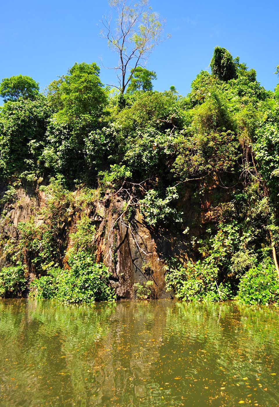 Exploring 6 Interesting Parks in Singapore that are Off the Beaten Track!