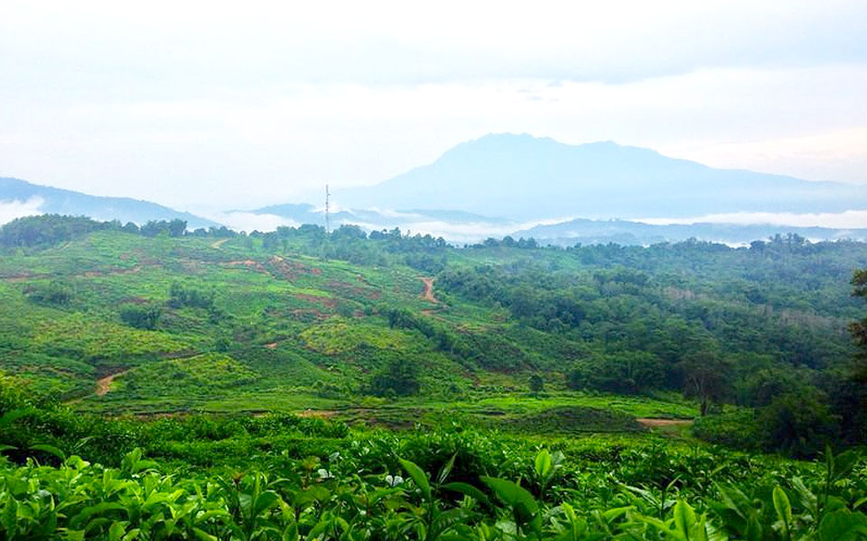 The Fit Shall Inherit the Trails at Ranauthlon14 in Sabah, Malaysia!