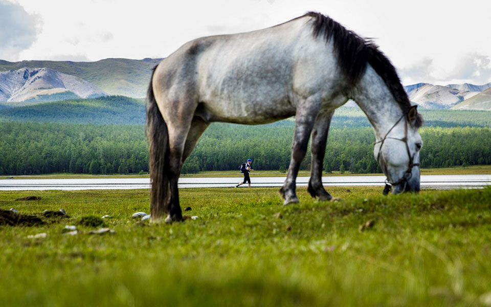 Mongolia Sunrise to Sunset 2015: Traverse the Wilderness of Hovsgol Natural Park!