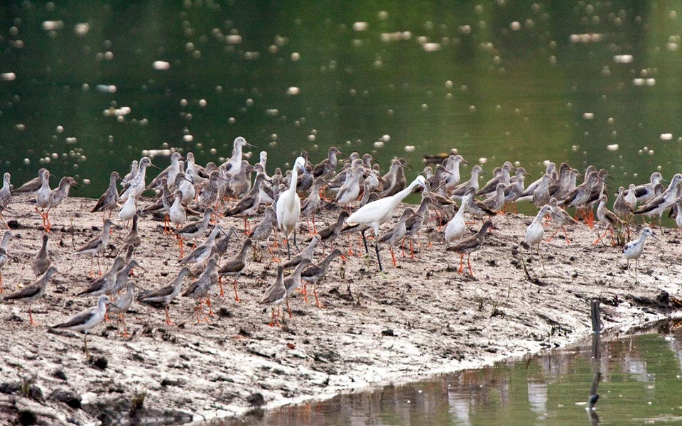 Singapore's Nature Reserves Everyone Should Explore