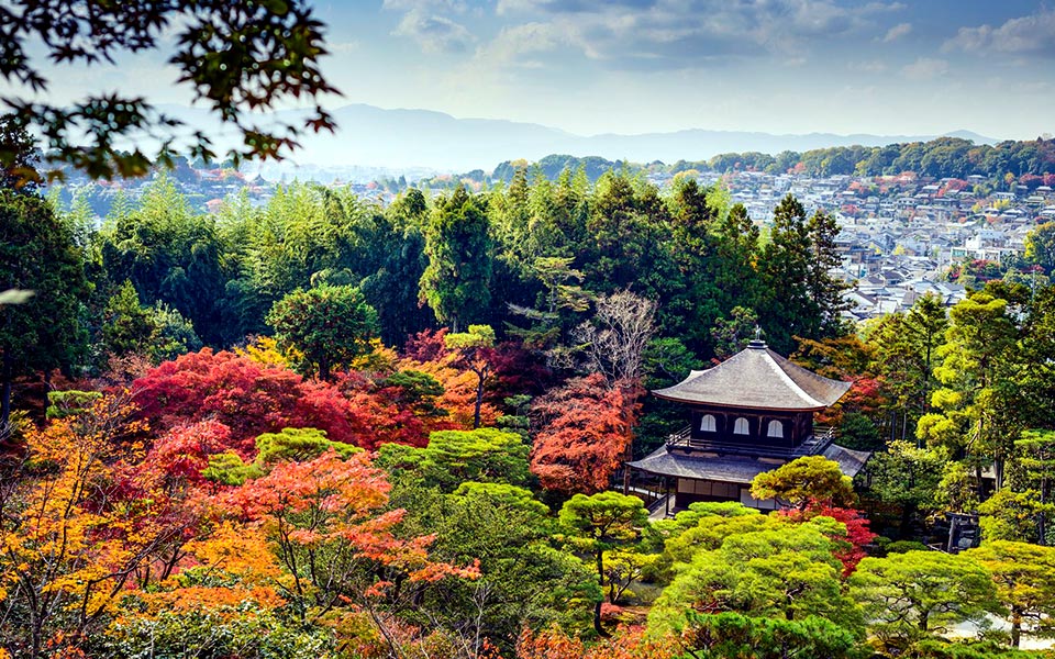 Spectacular Japanese Trail Running Routes for Culture Lovers