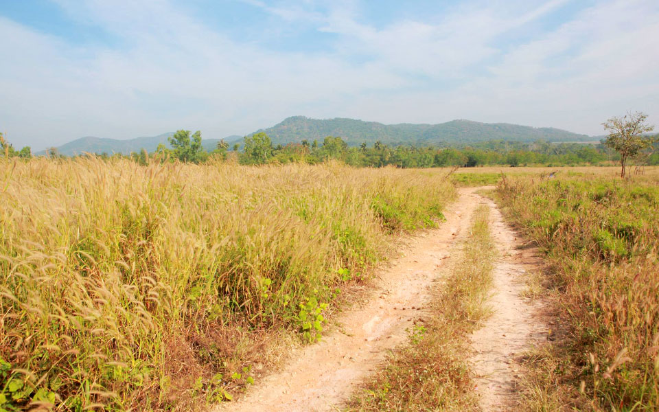 Trail Running is Hot in Thailand: Where to Go?