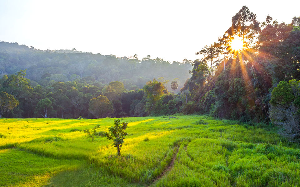 Trail Running is Hot in Thailand: Where to Go?