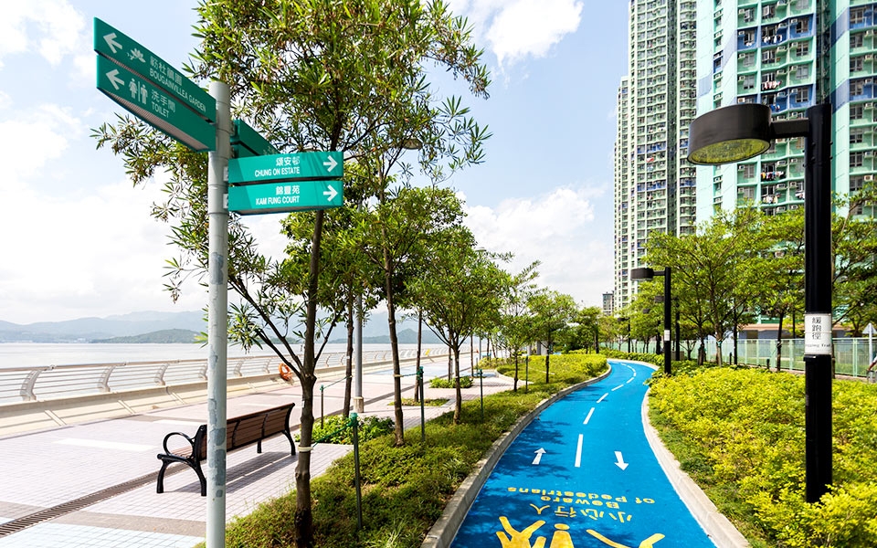 Best Running Trails in Hong Kong: 10 Fantastic Routes To Explore