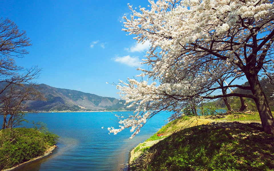 Lake Biwa Mainichi Marathon: The Oldest Lake Marathon in Japan