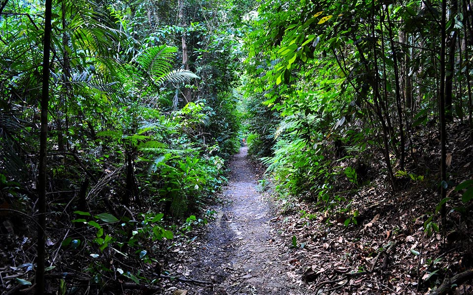 Popular Running Surfaces in Singapore: Not All Running Surfaces Are Created Equal