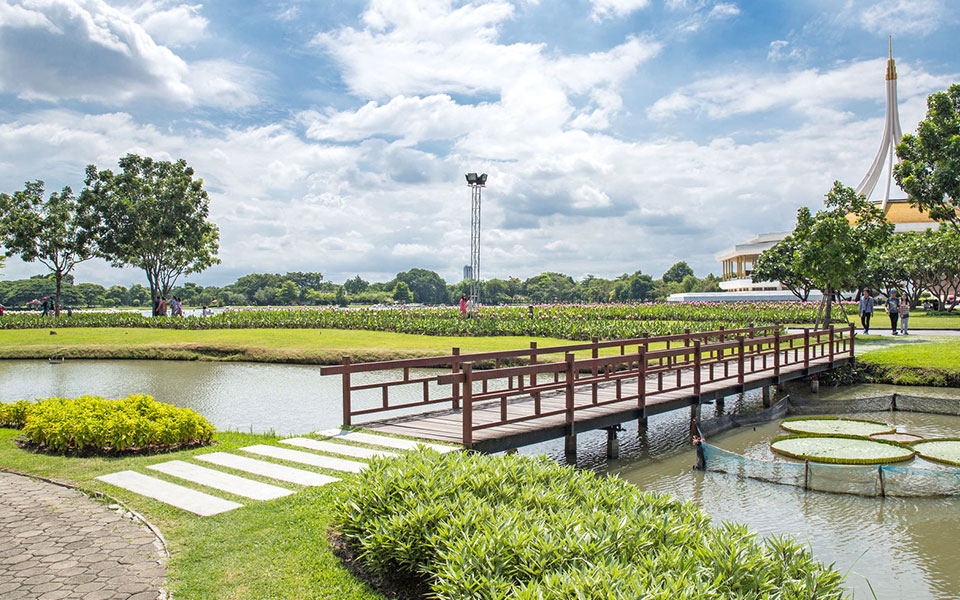 Run for Love Bangkok: Changing Lives a Step, or a Paw, at a Time