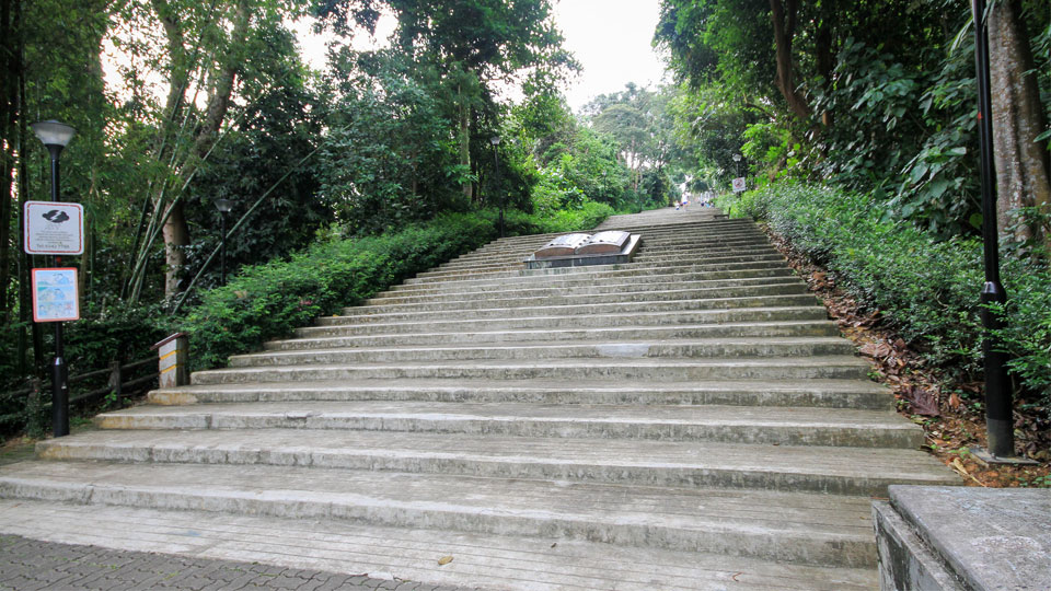 Are These The Most Dangerous Places To Run in Singapore?