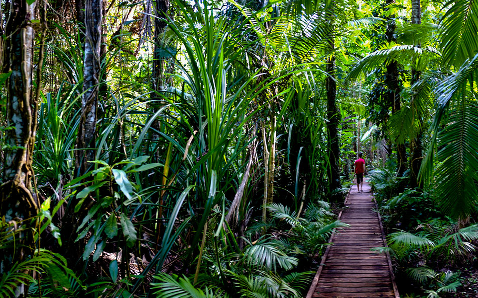 Do You Know These Amazing Australian Running Trails?