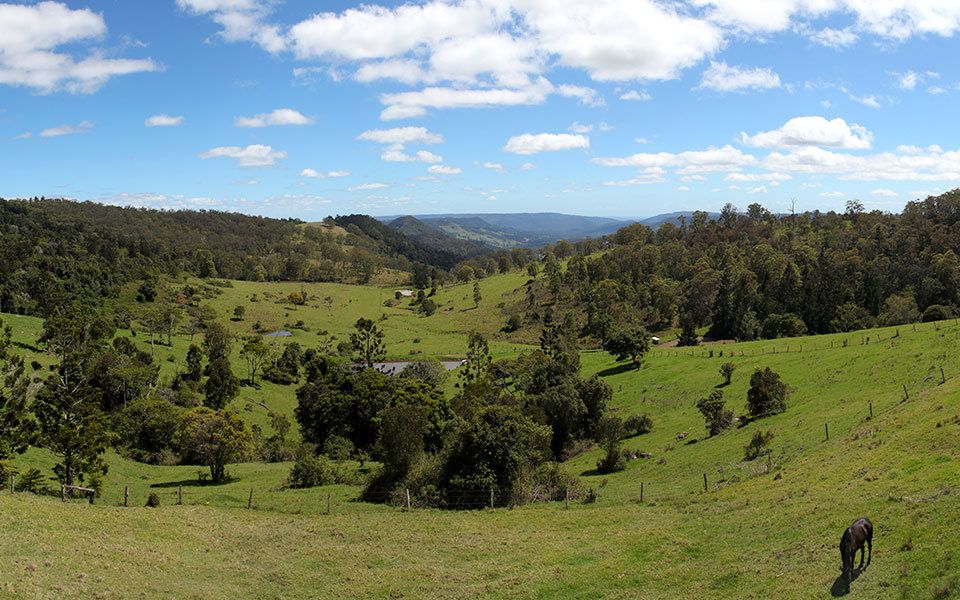 Do You Know These Amazing Australian Running Trails?