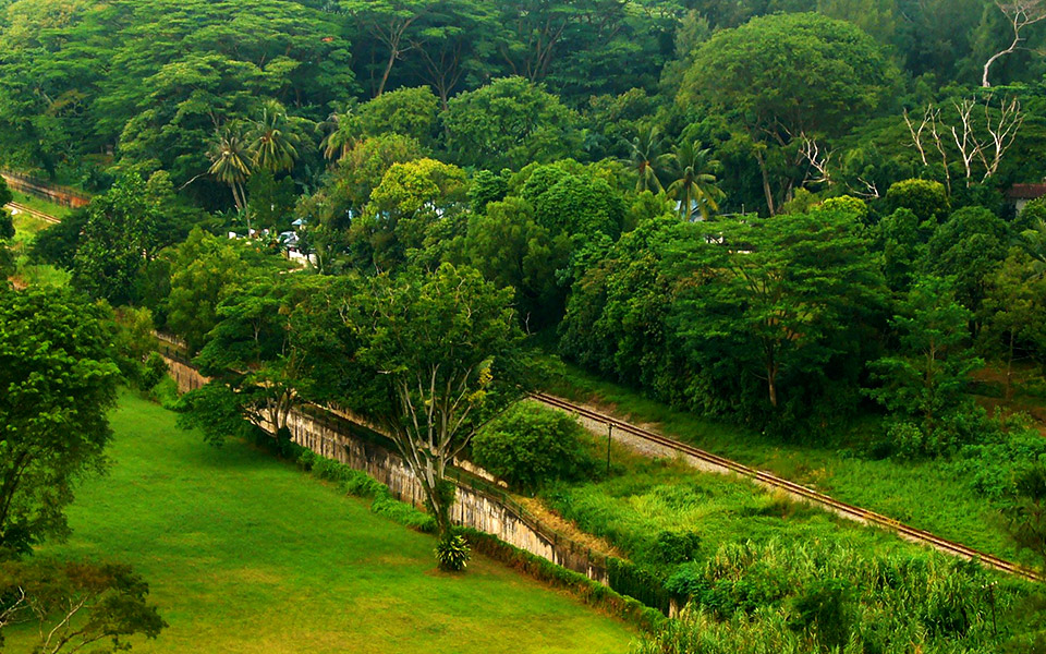 New Green Corridor Brings “Lines of Life” to All Singaporeans