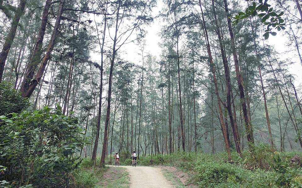 Make 2016 the Year You Explore New Singapore Running Places