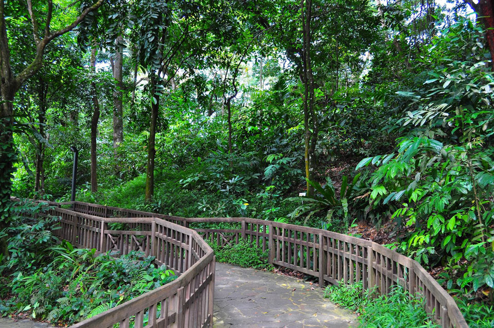 How to Run and Survive Singapore’s Daunting Hot Weather