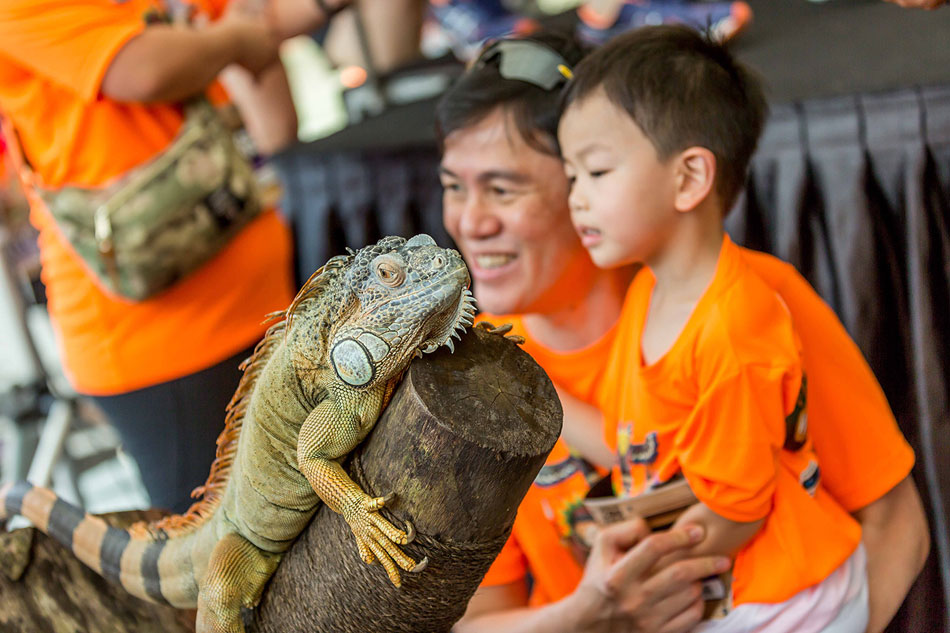 Want to Run with Wild Animals? Take Your Kids to Safari Zoo Run 2017!