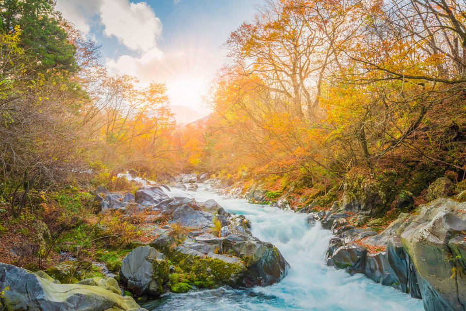 Improve Your Brain and Body Running the First-Ever Nikko 100km Ultramarathon, Japan