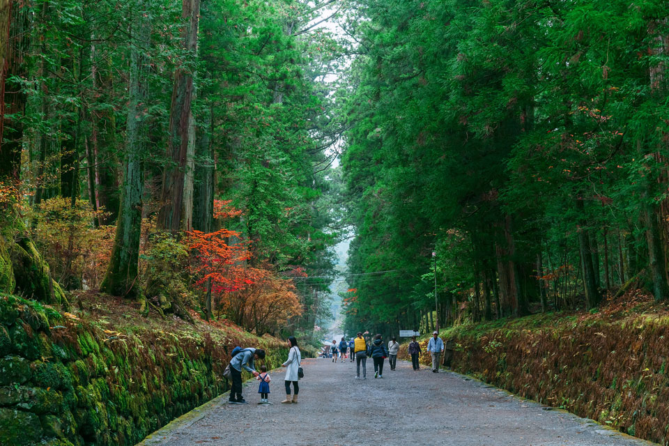 Improve Your Brain and Body Running the First-Ever Nikko 100km Ultramarathon, Japan