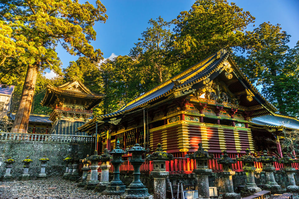 Improve Your Brain and Body Running the First-Ever Nikko 100km Ultramarathon, Japan