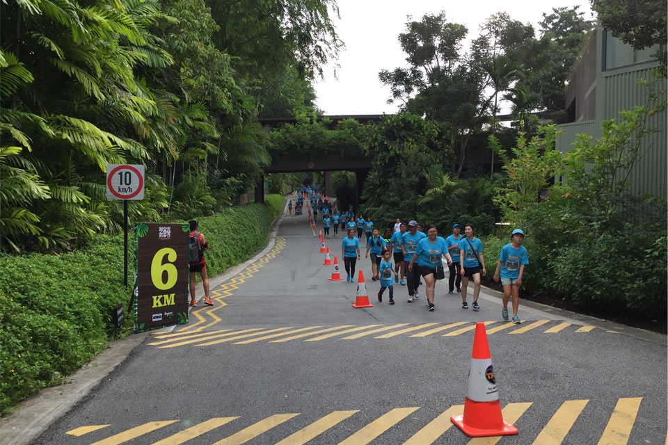 Safari Zoo Run 2017 Race Review: Support Wildlife Conservation by Running