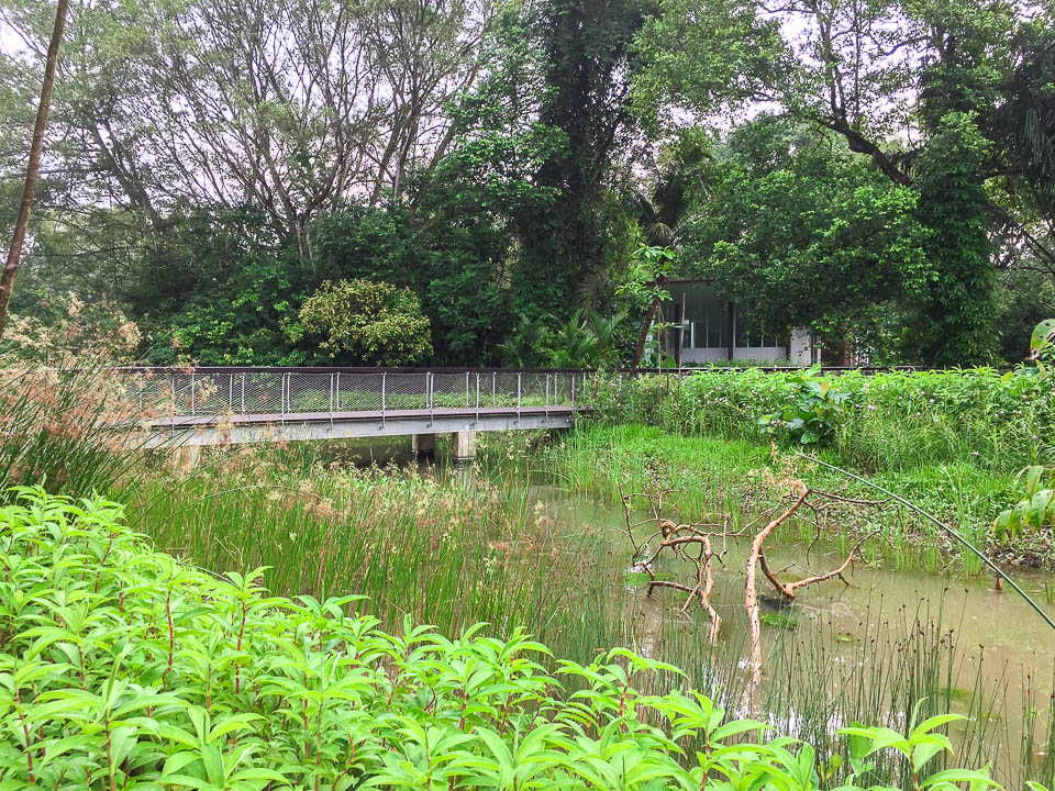 Things to Do at Windsor Nature Park