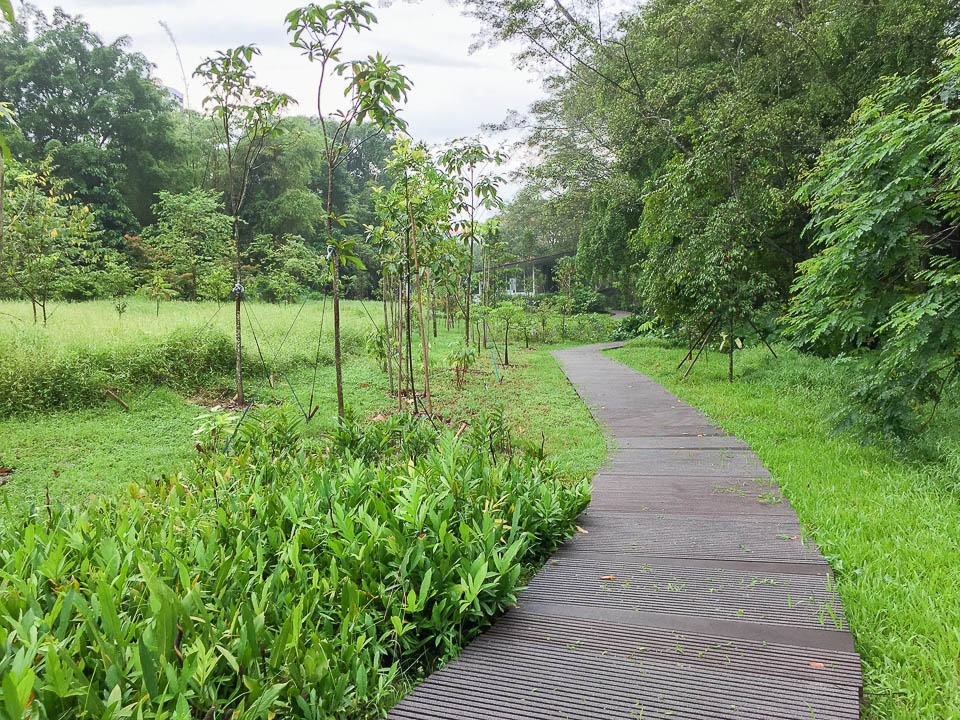 Things to Do at Windsor Nature Park