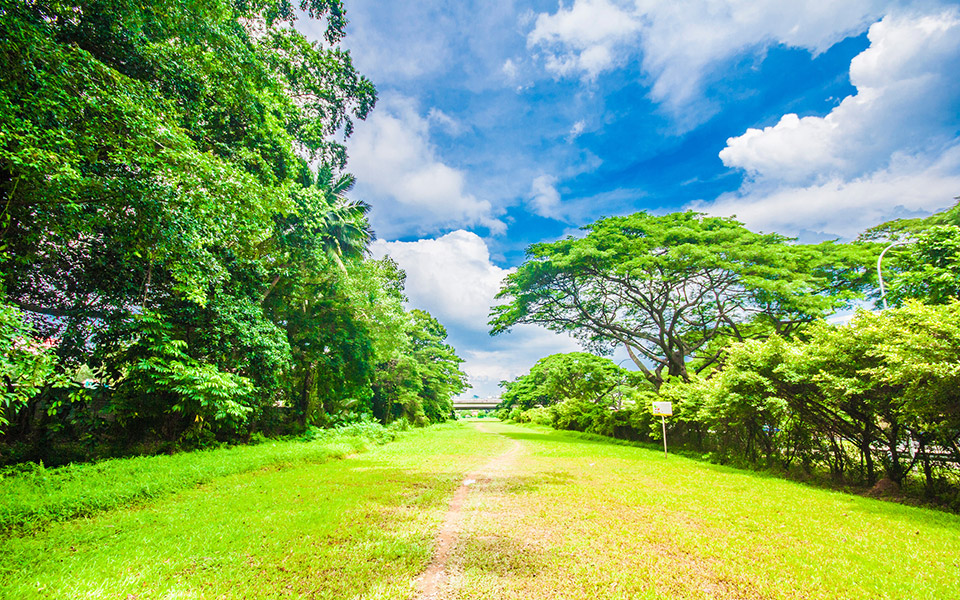 Singapore’s Top 10 Running Routes: Where to Run in Singapore