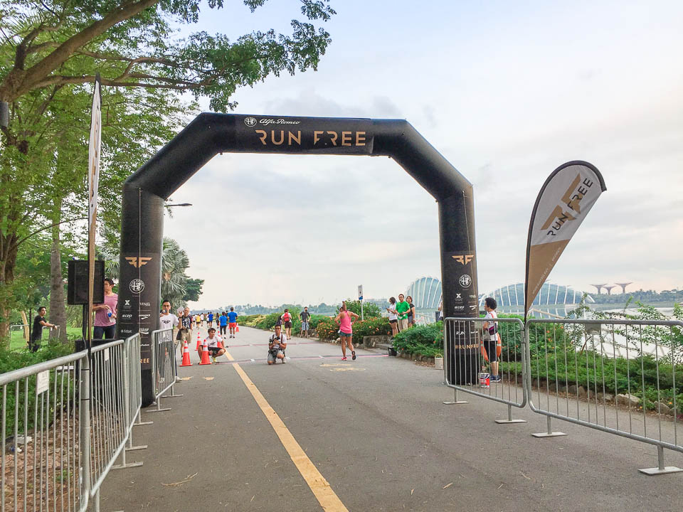 Run Free 2017 Race Review