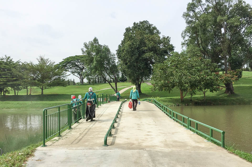 What You Need to Know About Our New MacRitchie Reservoir Park