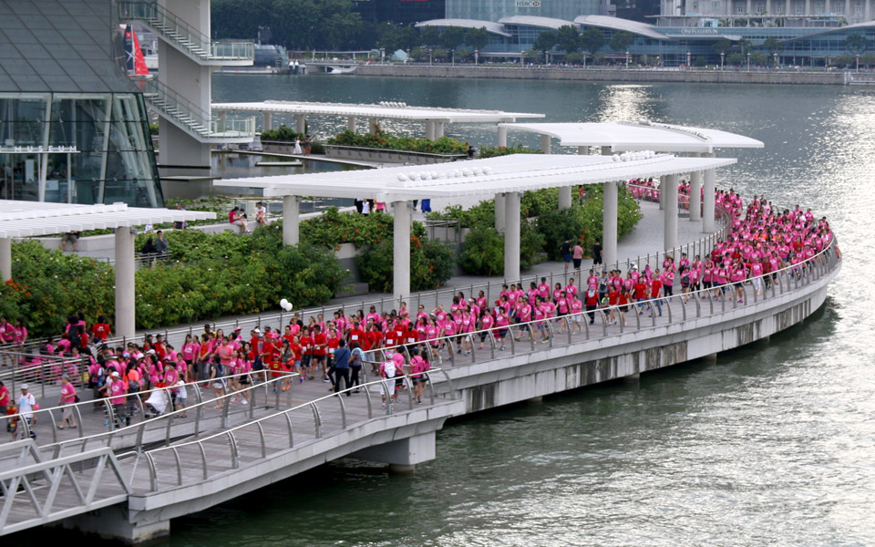 Colour Yourself Supportive at the Pink Ribbon Walk, Singapore Style!