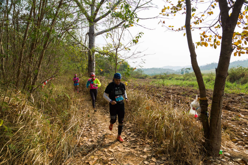 How to Run Your First 50km and 100km or More Without Killing Yourself