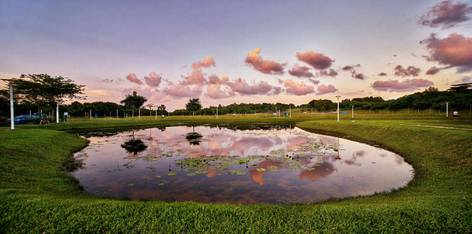 3 Easy Ways to Explore Tampines Heritage Trail Like a True Local