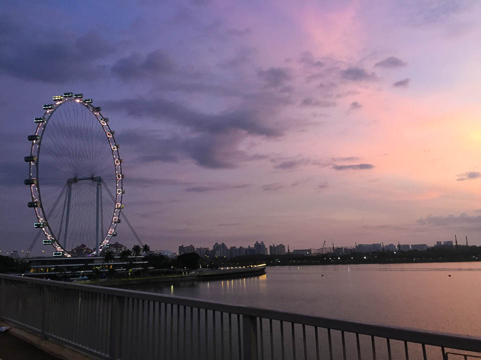 Standard Chartered Singapore Marathon 2017 Race Review