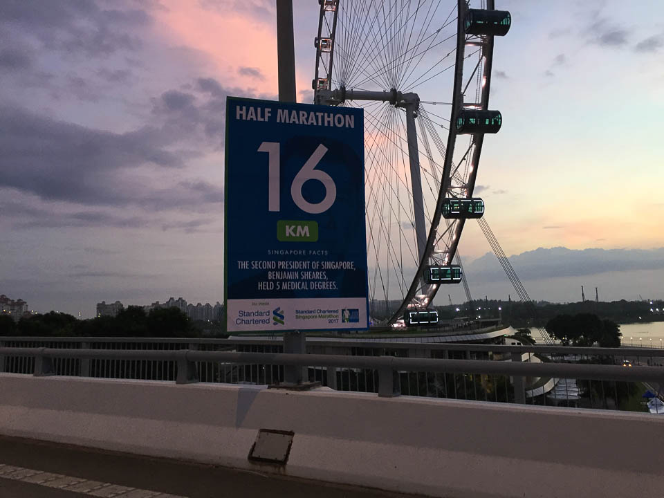 Standard Chartered Singapore Marathon 2017 Race Review