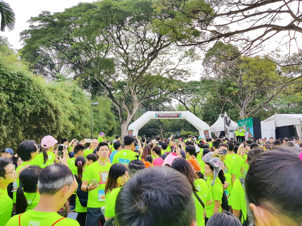 Safari Zoo Run 2018 Race Review: We Had a Memorable Day Running to Support Wildlife