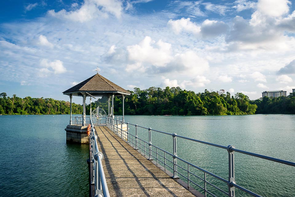 5 Best Singapore's Running Routes in the Central - MacRitchie Reservoir