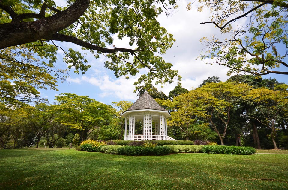 5 Best Singapore's Running Routes in the Central - Botanic Gardens