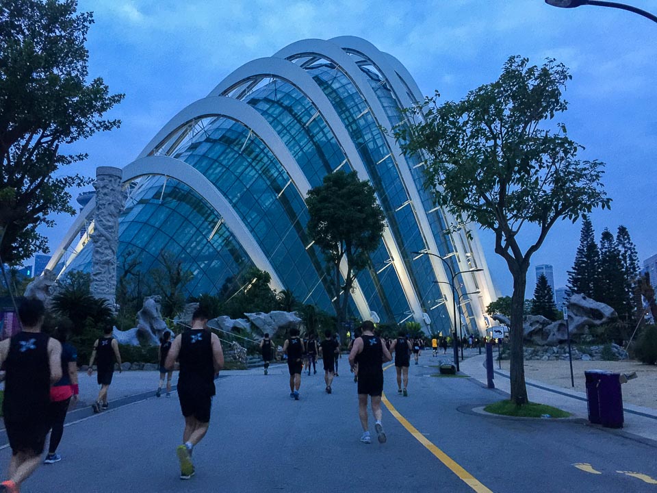 2XU Compression Run 2018 Race Review: Great Weather, Awesome Day