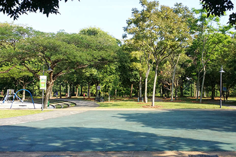 Singapore Running Parks In the West