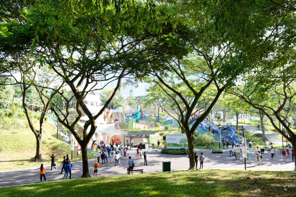 Singapore Running Parks in The North
